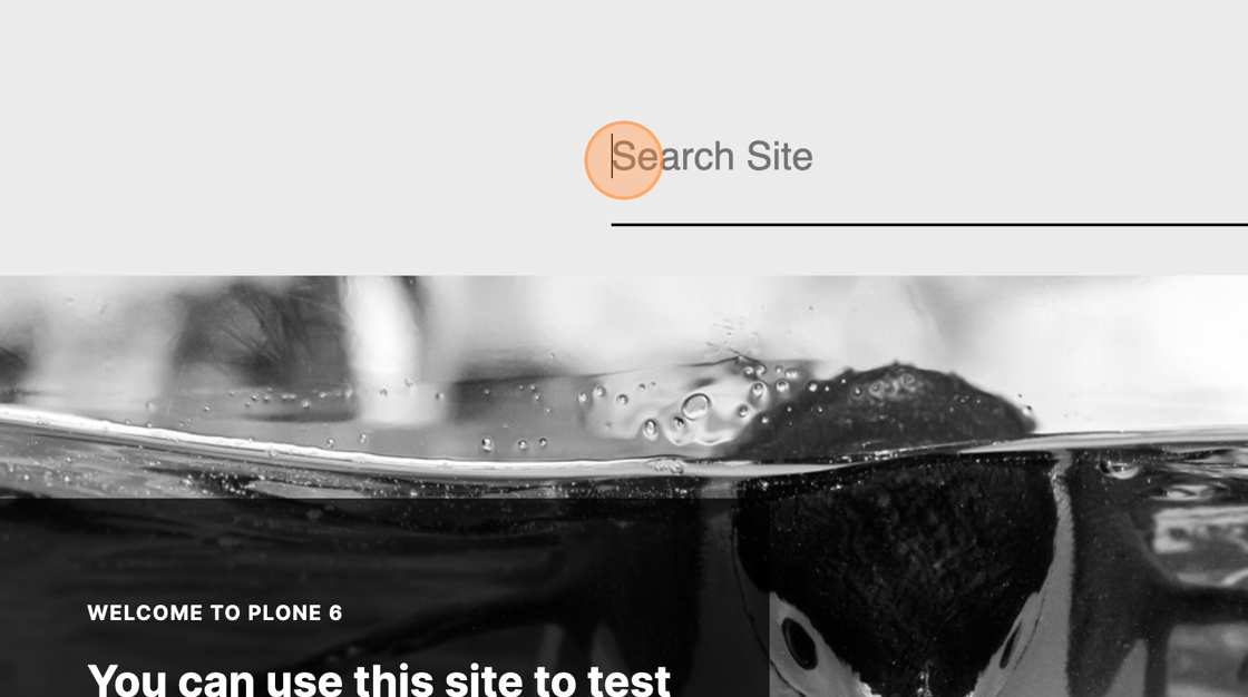 The Search Site text field