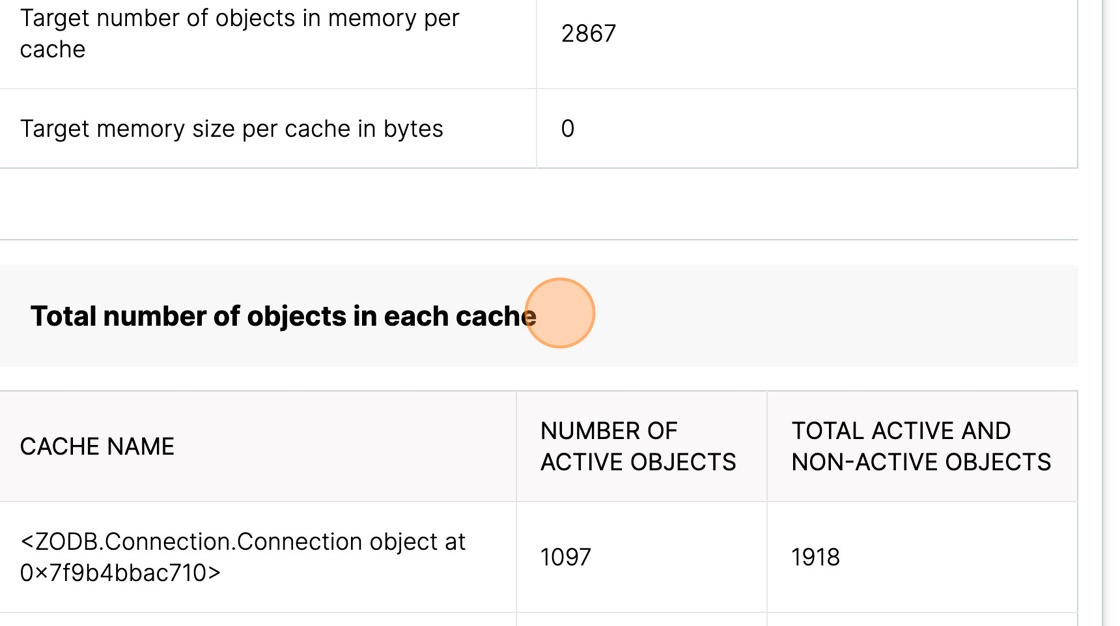 Details about the database cache